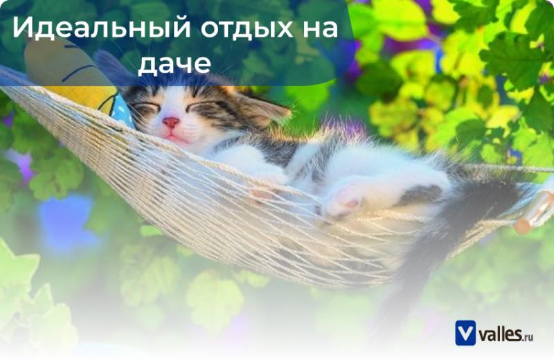 Которые созданы для отдыха. Которые созданы для отдыха