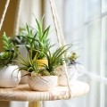 Купить Кашпо для комнатных растений по низкой цене