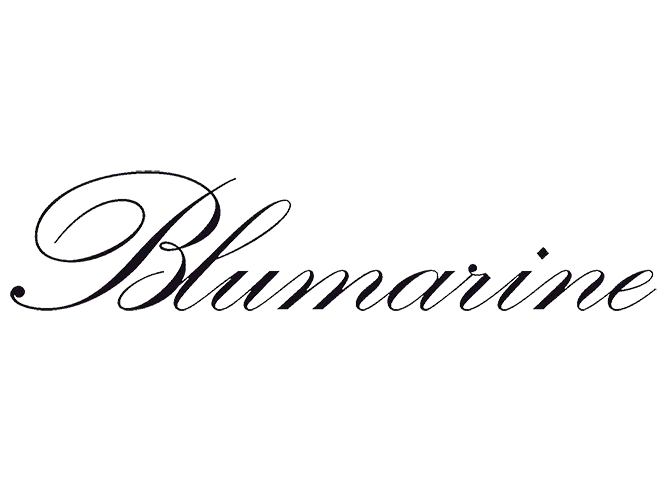 Стильные аксессуары от итальянского бренда BLUMARINE.