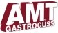 AMT Gastroguss