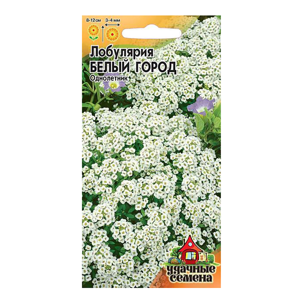 Алиссум lobularia maritima. Лобулярия семена. Лобулярия семена. Лобулярия королевский ковер 0,1 г гавриш. Лобулярия приморская алиссум lobularia maritima.