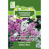 Купить Вечерница Матроны Классика по низкой цене