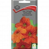 Купить Настурция большая Оранжевый блик по низкой цене