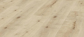 Купить Ламинат Kronotex Dynamic D4157 Береза золотая 32 класс, 8 мм по низкой цене
