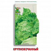 Купить Салат Крупнокочанный по низкой цене