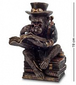 Купить Статуэтка Veronese Обезьяна с книгой WS-193 в стиле стимпанк по низкой цене