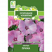 Купить Лаватера Прима по низкой цене