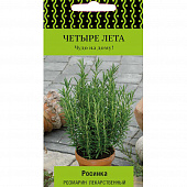Купить Розмарин лекарственный Росинка А по низкой цене