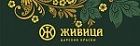 Живица