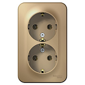 Купить Розетка Schneider Electric Blanca BLNRA010214 двухместная с заземлением и изолирующей пластиной титан по низкой цене