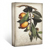 Купить Панно Sid Dickens Cashew Apple 446, дизайнерское по низкой цене