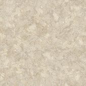 Купить Линолеум Tarkett Praktika Nubia 5 бытовой 4х30 м по низкой цене