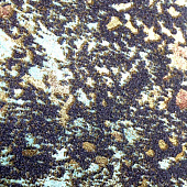 Купить Обои Дизайн Тропик Кварц-штукатурка DT-S2805 натуральные кварцевые по низкой цене