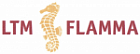 LTM Flamma