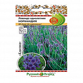 Купить Лаванда Нормандия однолетняя 20 шт Русский огород по низкой цене