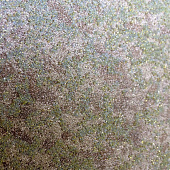 Купить Обои Дизайн Тропик Кварц-штукатурка DT-S2103 натуральные кварцевые по низкой цене