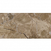 Купить Плитка Ceramica Classic 08-01-17-1346 Nemo керамическая табачная 400х200 мм по низкой цене