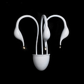 Купить Бра Lightstar Cigno Collo 751636 по низкой цене