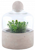 Купить Террариум Esschert Design для растений, S по низкой цене