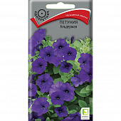 Купить Петуния Альдерман по низкой цене