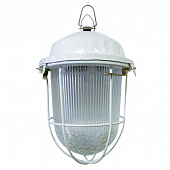 Купить Светильник TDM НСП 02-100-001.01 У2 SQ0310-0002 по низкой цене