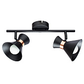 Купить Светильник Arte lamp Baltimore A1406AP-2BK по низкой цене