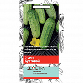 Купить Огурец Кустовой А по низкой цене