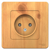 Купить Розетка Schneider Electric Blanca BLNRS000015 одноместная без заземления ясень по низкой цене