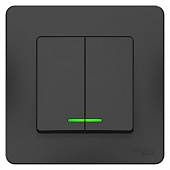 Купить Выключатель Schneider Electric Blanca BLNVS010516 двухклавишный с индикатором антрацит по низкой цене