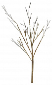 Купить Декор MHLiving Twig Stem 004064 по низкой цене