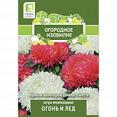 Купить Астра пионовидная Огонь и лед по низкой цене