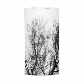 Купить Светильник Spot Light Nature настенный 4020304M по низкой цене