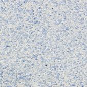 Купить Штукатурка Silk Plaster Рельеф 326 шелковая декоративная по низкой цене
