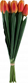Купить Декор MHLiving Tulip Bundle 004066 по низкой цене
