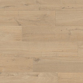 Купить Ламинат Pergo Sensation - Modern Plank 4V Coastal Oak L1231-03374 33 класса, 8 мм по низкой цене