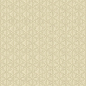 Купить Обои Wallquest Opulent ON40805 флизелиновые по низкой цене