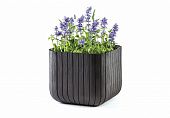 Купить Горшок цветочный Keter Cube Planter L по низкой цене