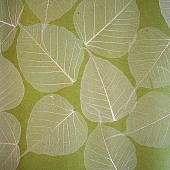 Купить Обои Дизайн Тропик Листья SN-8 натуральные по низкой цене