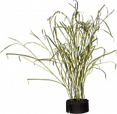 Купить Декор MHLiving Reeds and Leaves 004922 по низкой цене