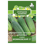 Купить Огурец Вязниковский 37 по низкой цене