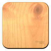 Купить Выключатель Schneider Electric Blanca BLNVA101015 одноклавишный с изолирующей пластиной ясень по низкой цене