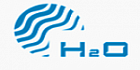 H2O
