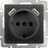 Купить Розетка Werkel WL08-SKGS-USBx2-IP20 одноместная с USBх2 с заземлением и защитными шторкам черный по низкой цене