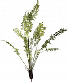 Купить Декор MHLiving Fern Plant 004071 по низкой цене