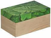 Купить Шкатулка MHLiving Leaves big 004510 по низкой цене