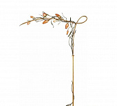 Купить Торшер MM Lampadari Gru 6788/LT8 декоративный по низкой цене