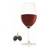 Купить Набор VACU VIN бокалов для красного вина прозрачных, 2 шт., 0,53 л по низкой цене