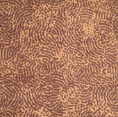 Ковровые дорожки как дополнение интерьера.