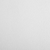 Купить Плита Armstrong Bioguard Plain MicroLook потолочная 600х600х15 мм по низкой цене