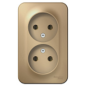Купить Розетка Schneider Electric Blanca BLNRA000214 двухместная без заземления с изолирующей пластиной титан по низкой цене